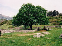 Das Orakel von Dodona