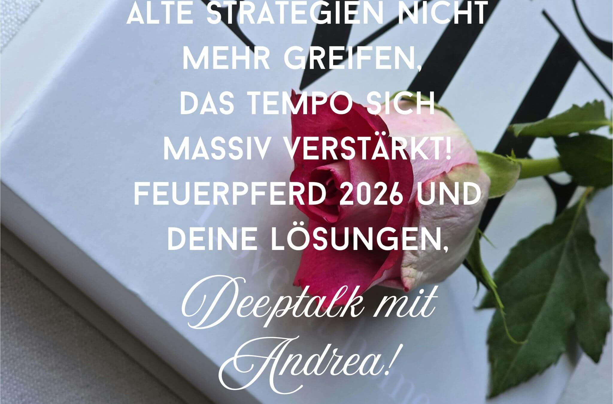 Feuerpferd 2026 – Azizay Andrea: