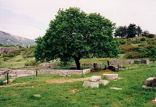 Das Orakel von Dodona