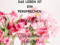 Die grosse Karriere und das Leben..